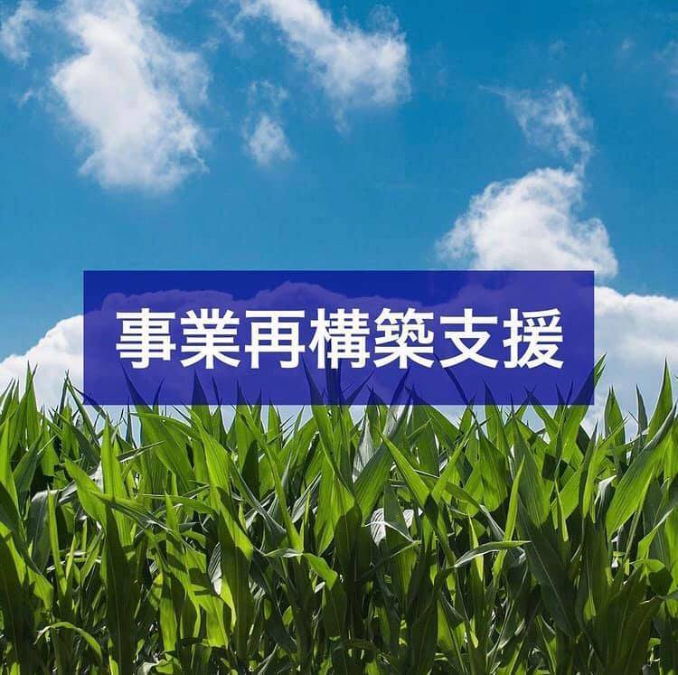 補助金 助成金情報 地方創生 伝統産業 中小企業と農業の復興 活性化を支援する会社です