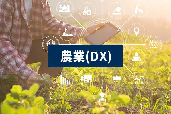 地方創生・活性事業 | 地方創生、伝統産業、中小企業と農業の復興・活性化を支援する会社です