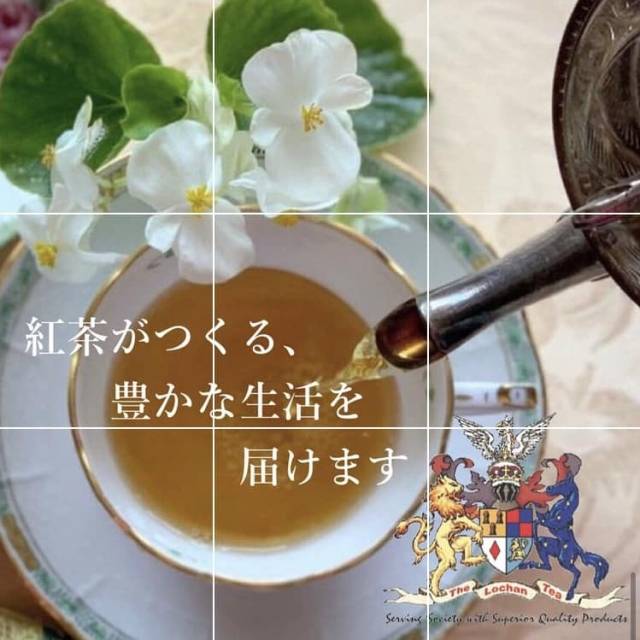 インスタグラム事例　【インド紅茶専